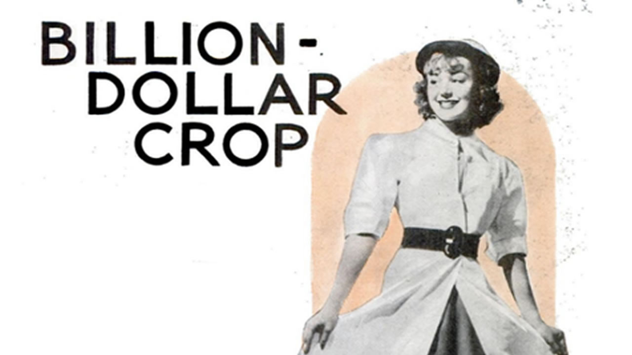 Billion Dollar Crop